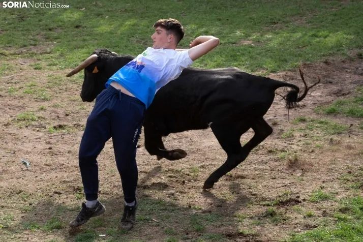Lavalenguas 2023