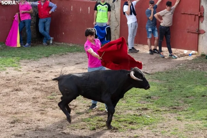 Lavalenguas 2023