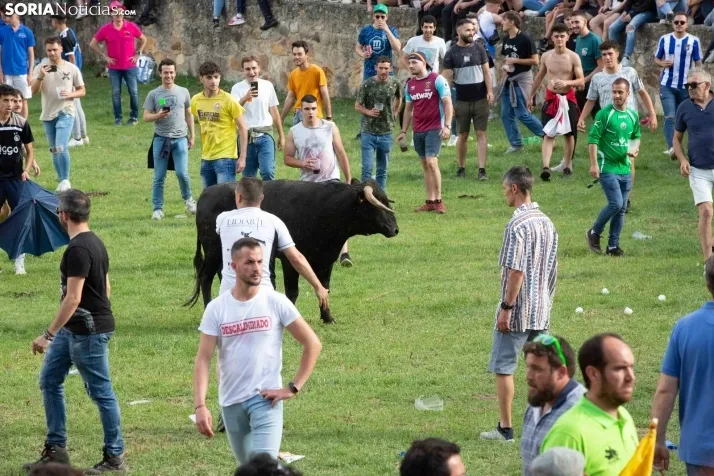 Lavalenguas 2023