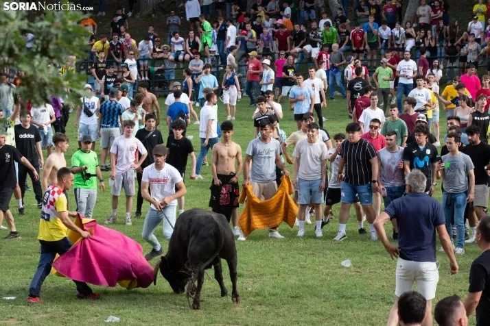 Lavalenguas 2023