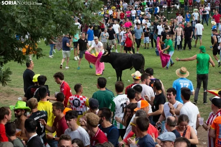 Lavalenguas 2023
