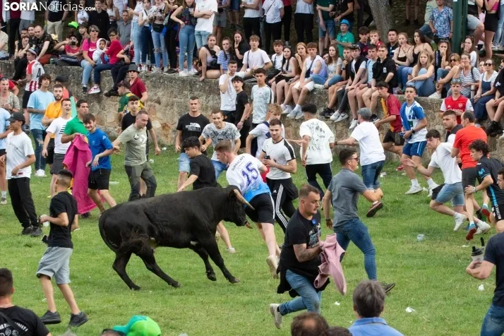 Lavalenguas 2023