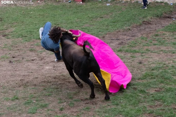 Lavalenguas 2023