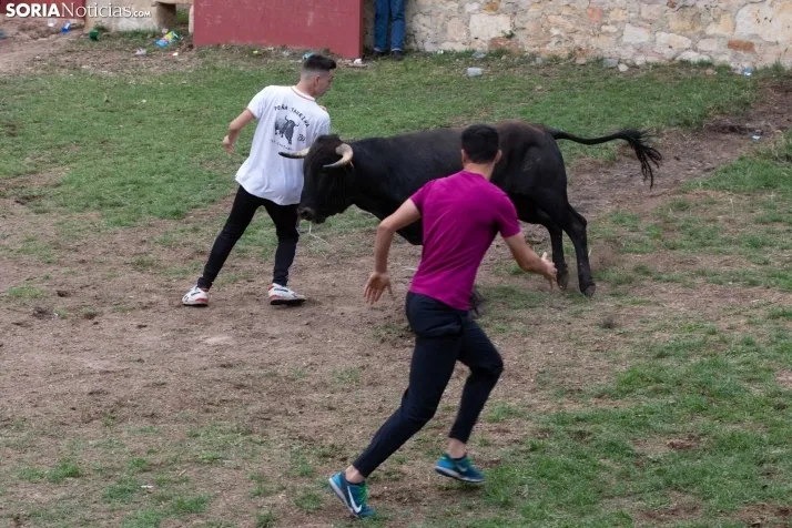 Lavalenguas 2023