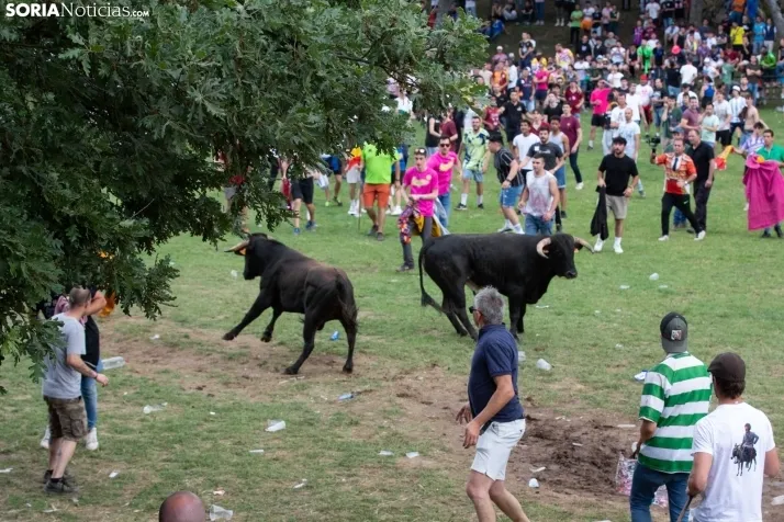 Lavalenguas 2023