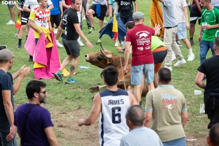 Lavalenguas 2023