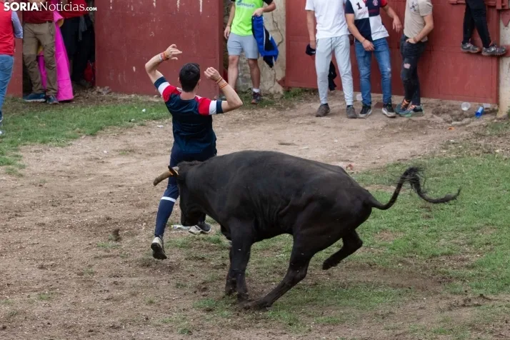 Lavalenguas 2023