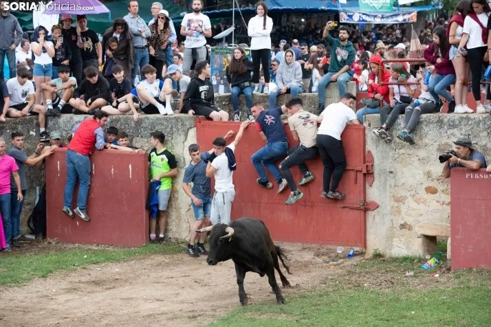 Lavalenguas 2023