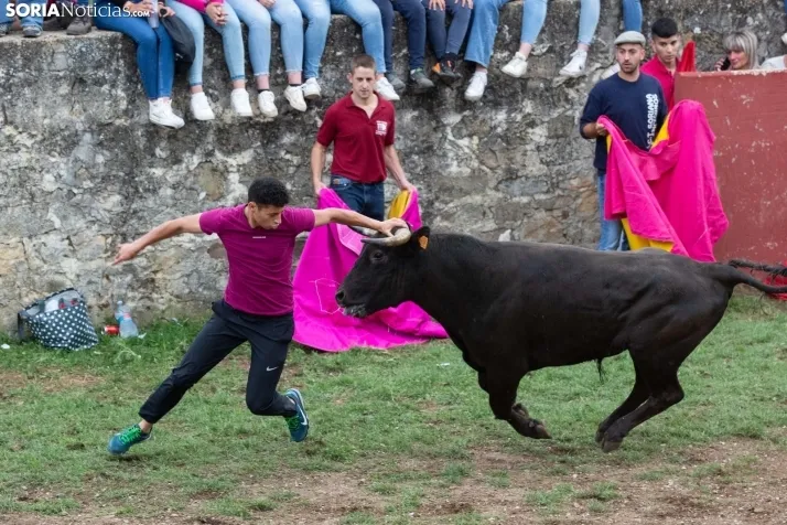 Lavalenguas 2023