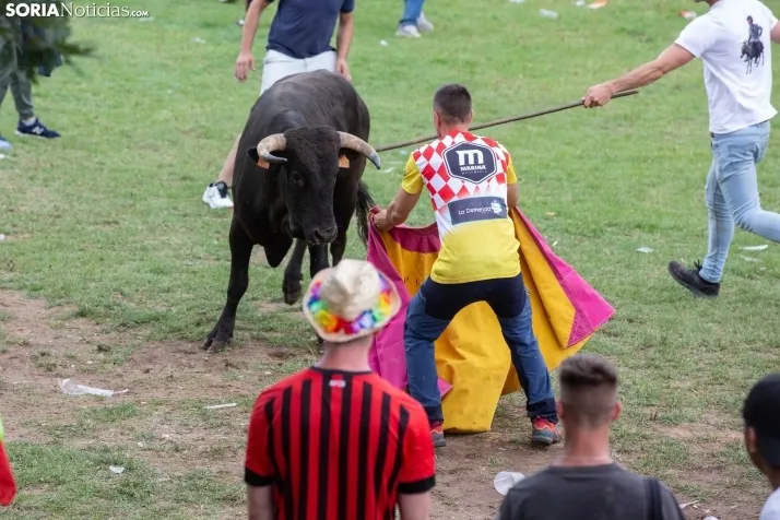 Lavalenguas 2023