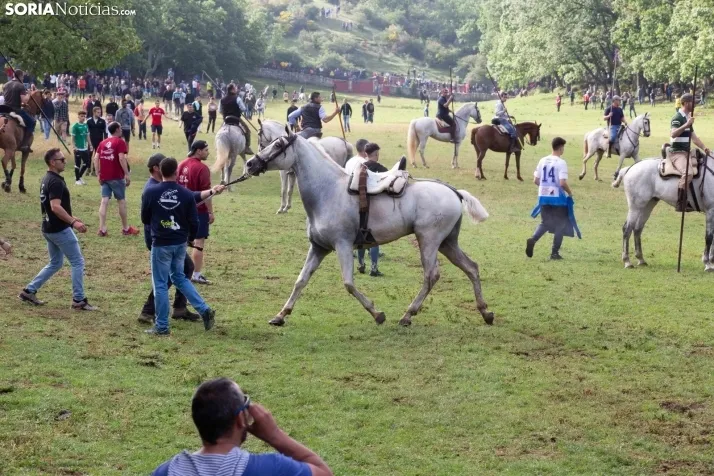 Lavalenguas matinal 2023