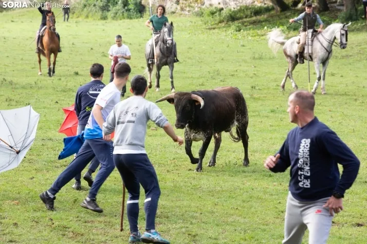 Lavalenguas matinal 2023