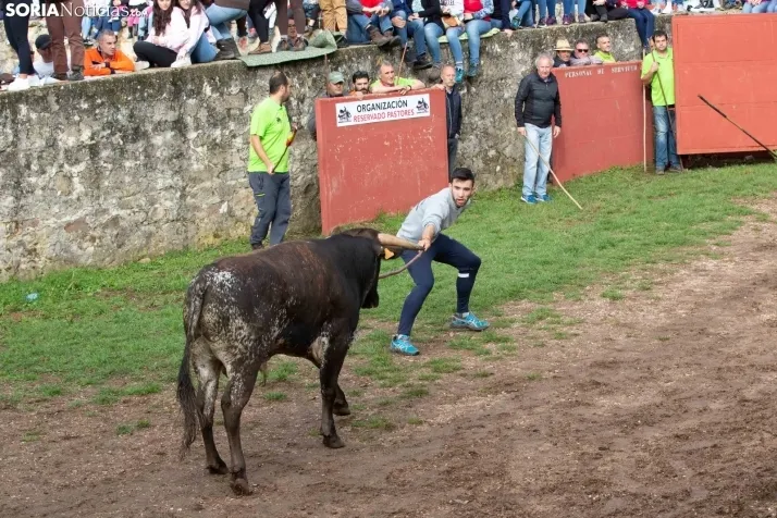 Lavalenguas matinal 2023