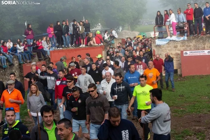 Lavalenguas matinal 2023