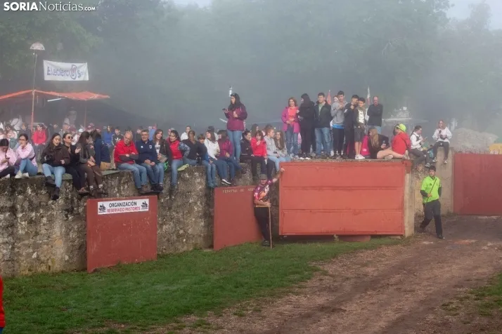 Lavalenguas matinal 2023