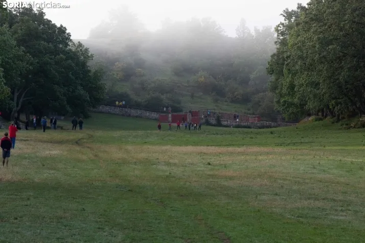 Lavalenguas matinal 2023