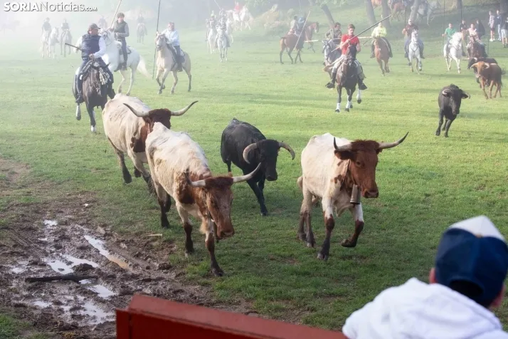 Lavalenguas matinal 2023