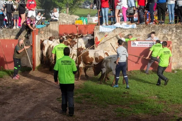 Lavalenguas matinal 2023
