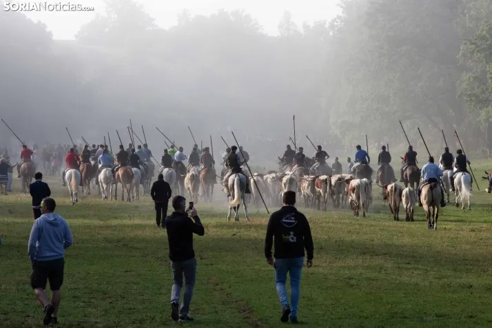 Lavalenguas matinal 2023