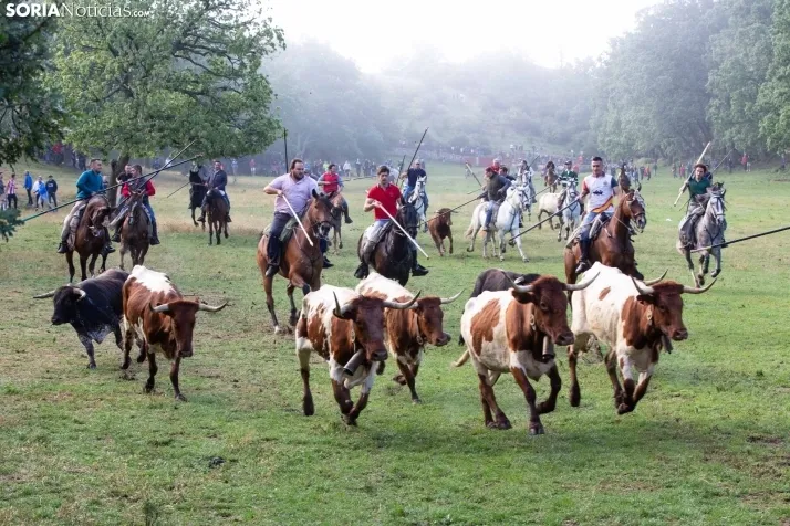 Lavalenguas matinal 2023
