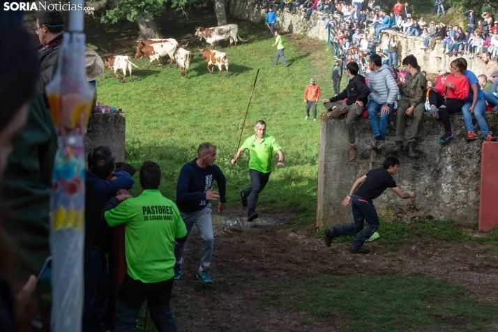 Lavalenguas matinal 2023
