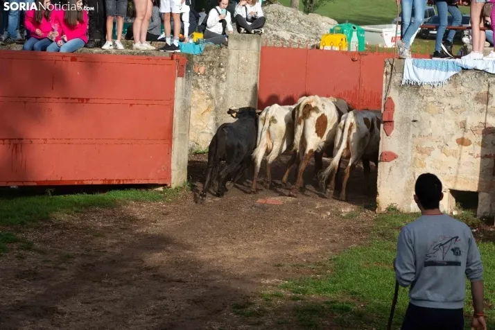 Lavalenguas matinal 2023