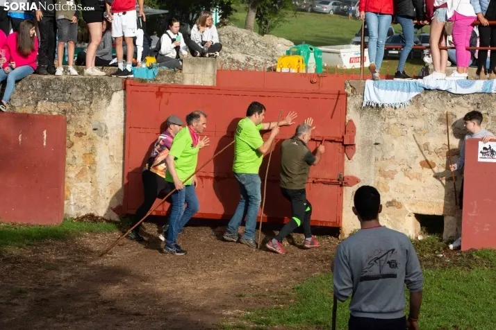 Lavalenguas matinal 2023