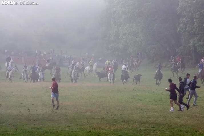 Lavalenguas matinal 2023