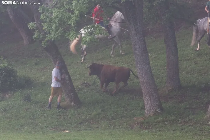 Lavalenguas matinal 2023