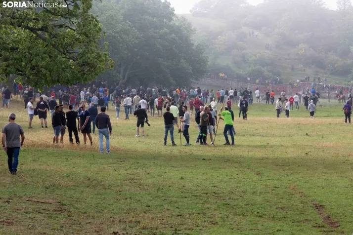Lavalenguas matinal 2023