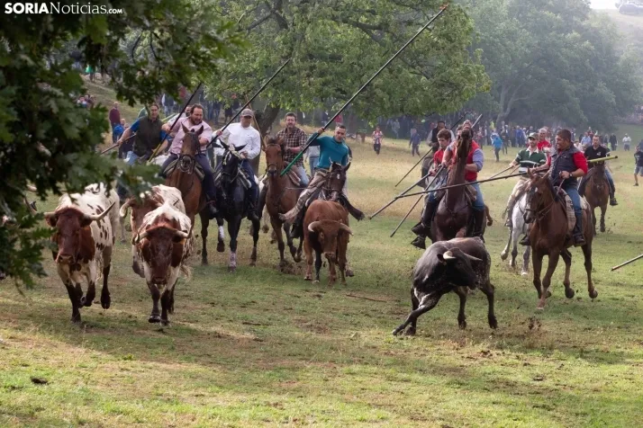 Lavalenguas matinal 2023