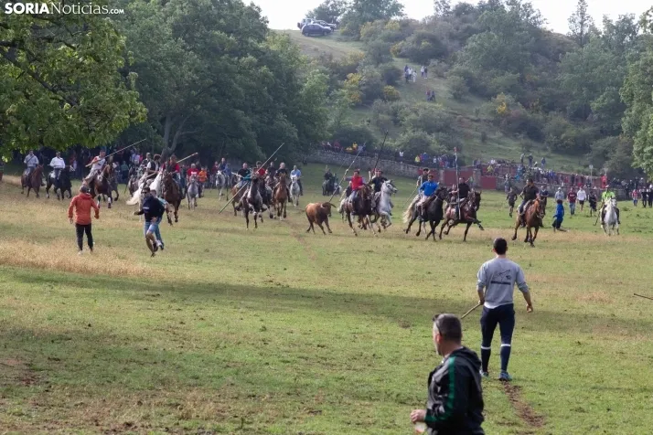 Lavalenguas matinal 2023