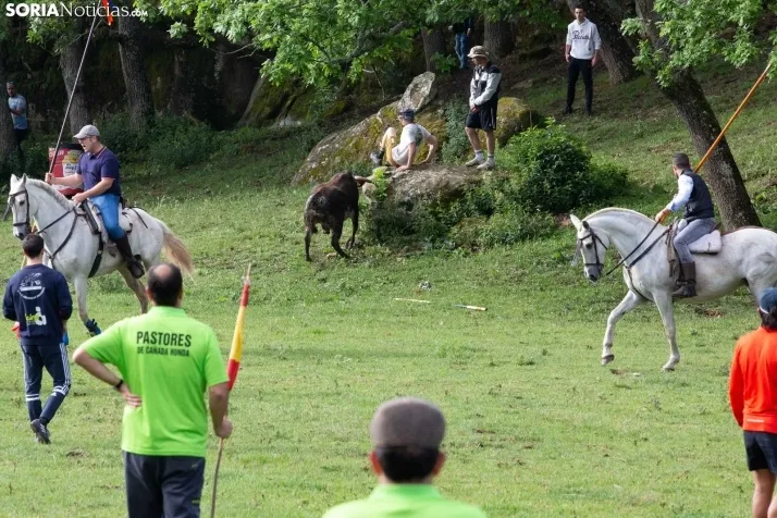 Lavalenguas matinal 2023
