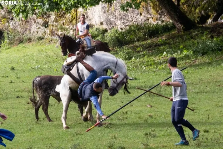 Lavalenguas matinal 2023