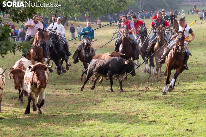 Imagen del 'Lavalengüillas' de esta mañana. /María Ferrer