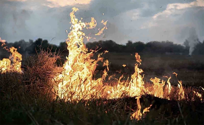 Castilla y León mantiene el peligro medio de incendios forestales hasta el 11 de junio