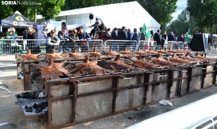 Aumenta un 25% el número de consultas a las oficinas de turismo provinciales