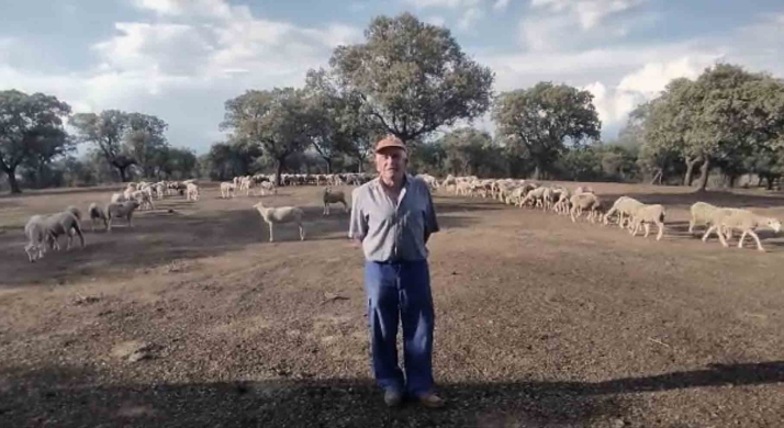 Uno de los ganaderos trashumantes sorianos lanza un SOS para preservar su ganado