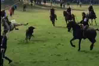 VIDEO | De susto con el caballo a metido a pie por los mozos