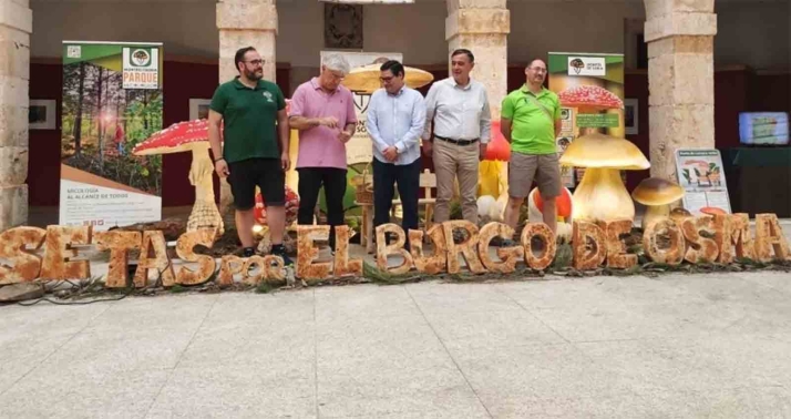 Bar El Parque triunfa en las tapas de manzana y micológica de El Burgo