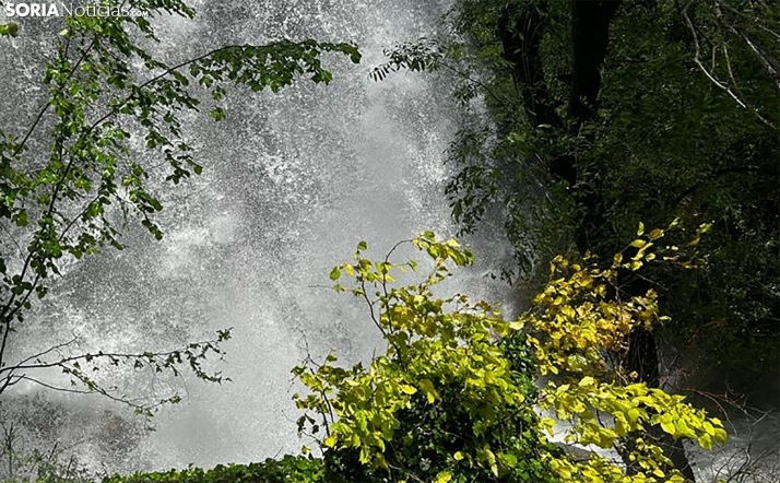 FOTOS Y VIDEO | La cascada de Fuentetoba, espectacular
