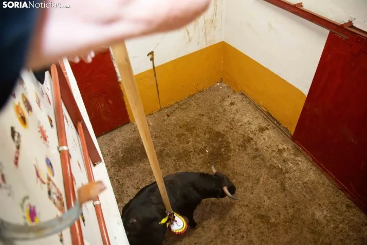 I Viernes de Toros 2023