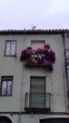 Foto 2 - Fotos: Soria busca los balcones y ventanas mejor decoradas del Casco Viejo y de San Pedro