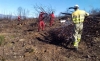Foto 1 - Castilla y León contrata cuatro cuadrillas en Soria, para prevención de incendios forestales, por más de 1M&euro;