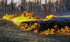Foto 1 - Alerta hoy martes por riesgo de riesgo de incendios forestales