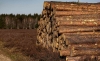 Foto 1 - La Junta adjudica en 856.000 euros un total de 14 lotes de madera en Soria