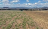 Foto 1 - La ayuda del Gobierno a la sequía en cultivos se queda en los 5M&euro; para Soria