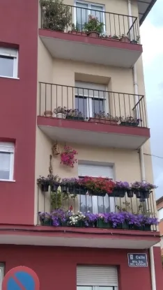 Foto 19 - Fotos: Soria busca los balcones y ventanas mejor decoradas del Casco Viejo y de San Pedro