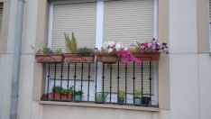 Foto 3 - Fotos: Soria busca los balcones y ventanas mejor decoradas del Casco Viejo y de San Pedro