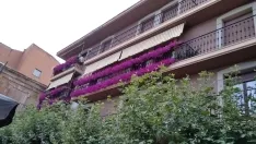 Foto 13 - Fotos: Soria busca los balcones y ventanas mejor decoradas del Casco Viejo y de San Pedro